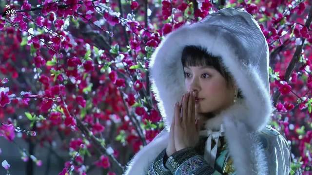 甄嬛倚梅园雪夜祈福，逆风如解意道尽少女心事