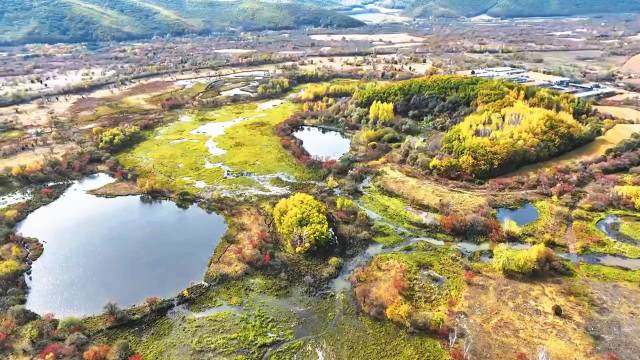 迎着朝阳和晨雾向镜泊湖喷气碟出发，水鸟在波光粼粼中自由飞翔