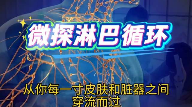关于人体淋巴液的一些医学冷知识