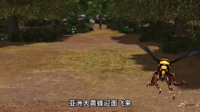大黄蜂的毒刺长达1厘米，毒液可以导致过敏性休克