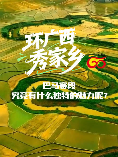 一边长坡急弯，一边负氧林海！这就是巴马赛段的魅力！