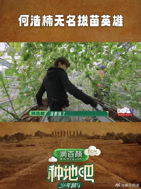 何浩楠无名拔苗英雄