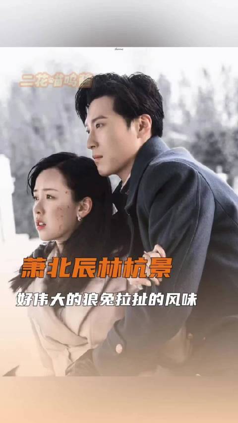 萧北辰林杭景狼兔拉扯，良辰好景知几何