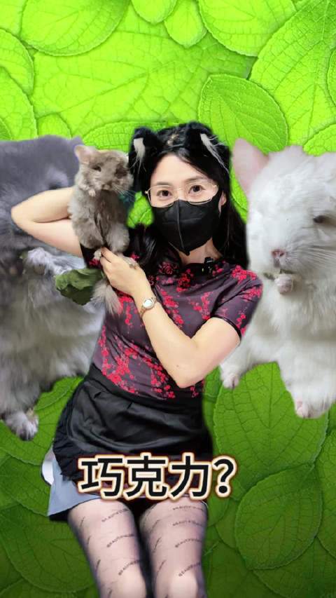 这个颜色的龙猫好像很火哦