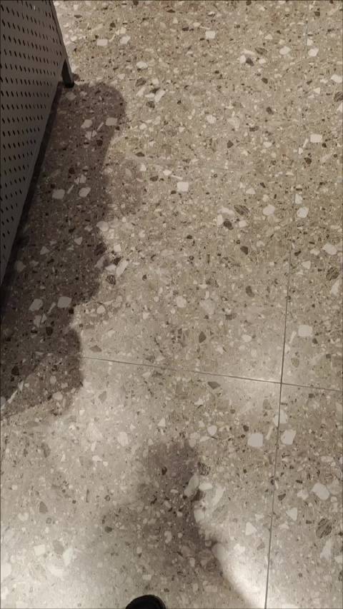 杨真真限时回归版