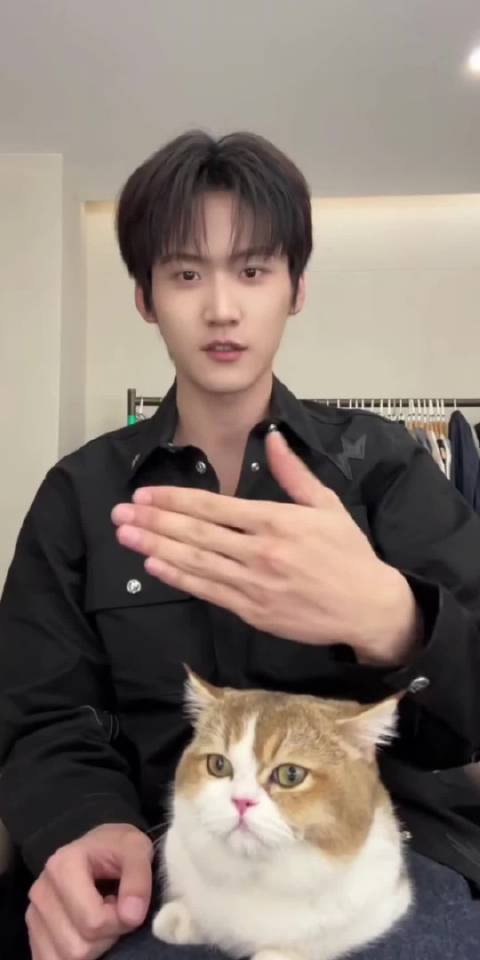 视频里有2只小猫周柯宇