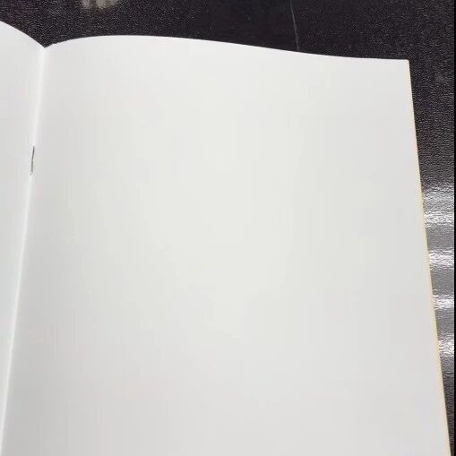 台“侨委会”交“白卷”，被讽：是要撒上柠檬水，才看得到字吗？需要念咒语才能出现内容？