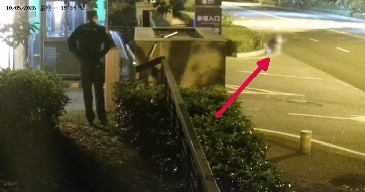 女子怀抱幼童带3万元现金打车去宜昌博物馆，当时博物馆已闭馆，网约车司机察觉异常出言提醒，劝说无果后选择报警