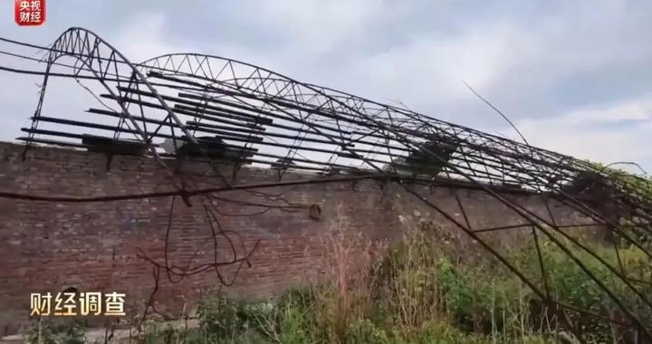 【侠客岛】扶贫大棚咋就成了骗补荒地? 【侠客岛】扶贫大棚咋就成了骗补荒地?
