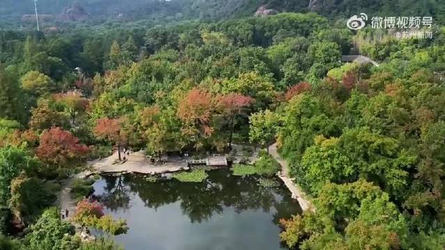 苏州天平山红枫初染 游客提前进山赴江南红叶之约