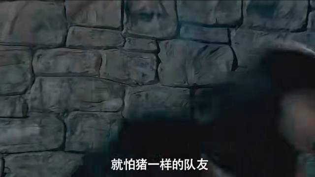 就怕猪一样的队友