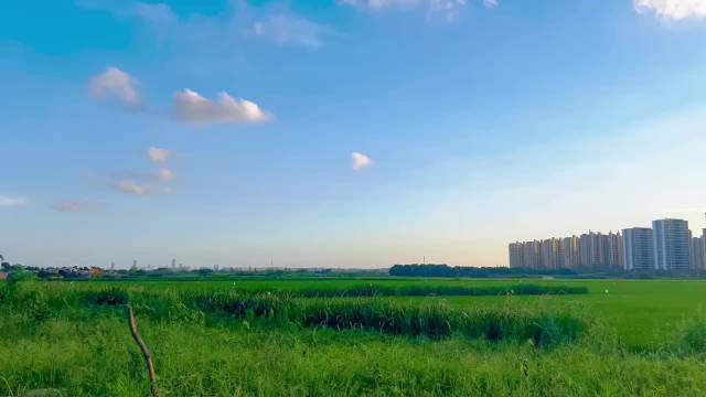 蓝天大海森林，治愈人心的自然风景