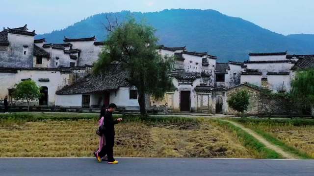 去寻找秋天