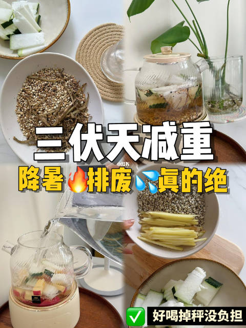 三伏天吃冬瓜｜降暑还刮油