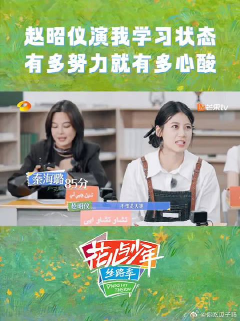 赵昭仪考试这段过于真实，因为审错题丢分！