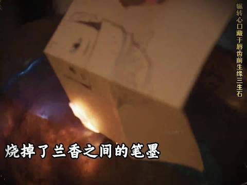 锦岐猜出兰香身份，两人互敞心扉，真正心意相融 兰香如故 林锦岐 许兰香