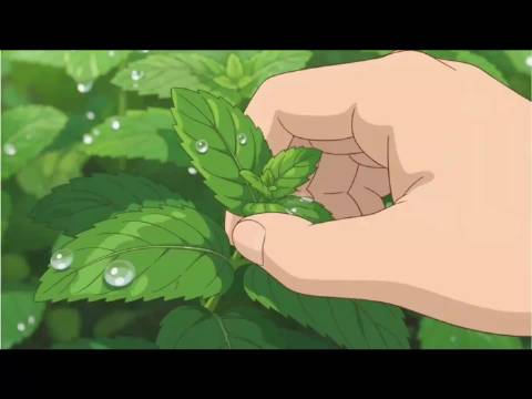 别想太多好好生活，微博视频号续航计划
