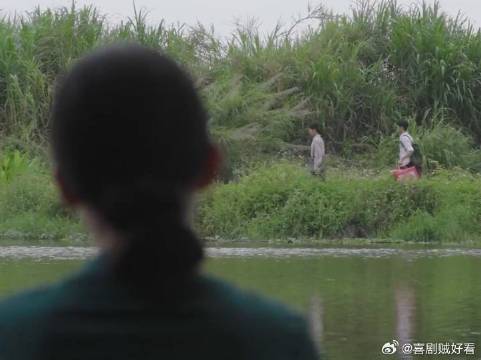 南枝与淑柔的隔岸对视