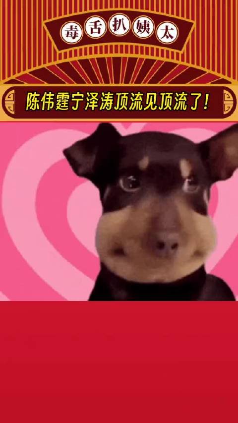 网友滑雪偶遇陈伟霆宁泽涛同框