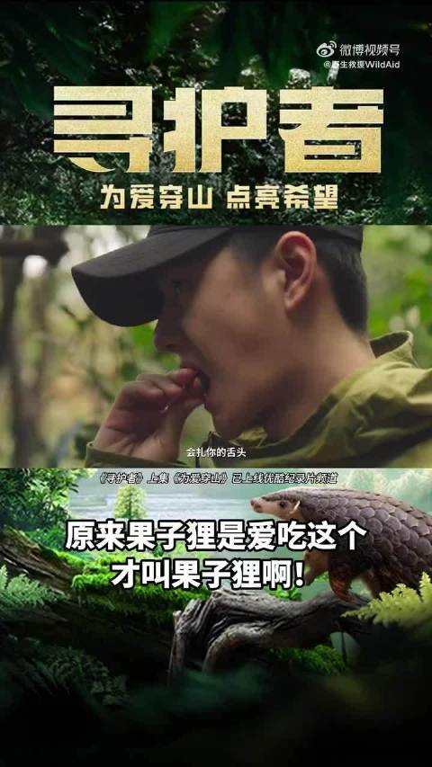 王一博呼吁拒绝购买穿山甲制品