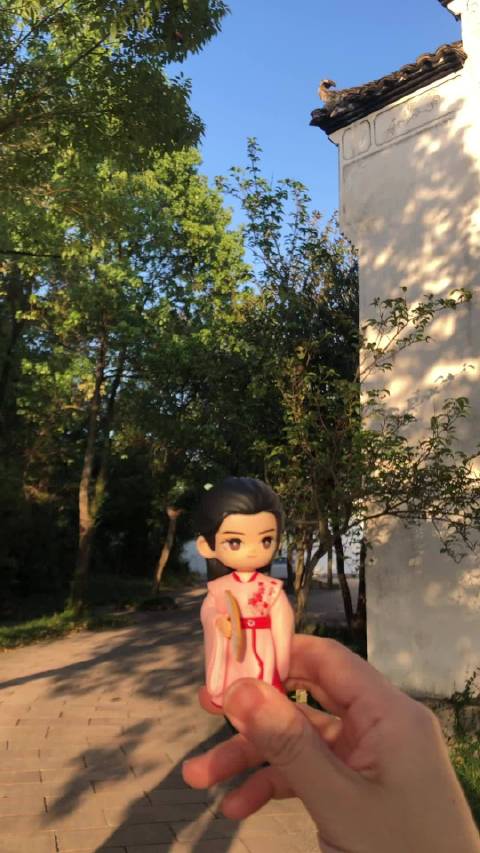 俊俊和萨摩耶合拍视频的地方