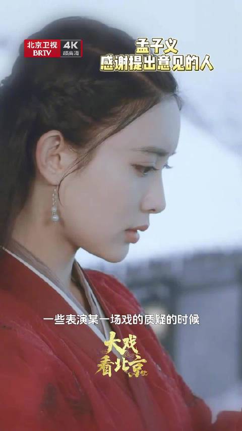 孟子义谈演员的局限性