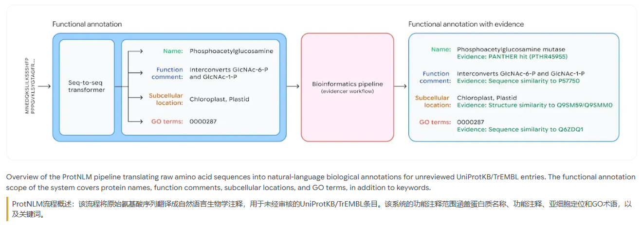 谷歌Antigravity平台加速抗菌肽新药研发