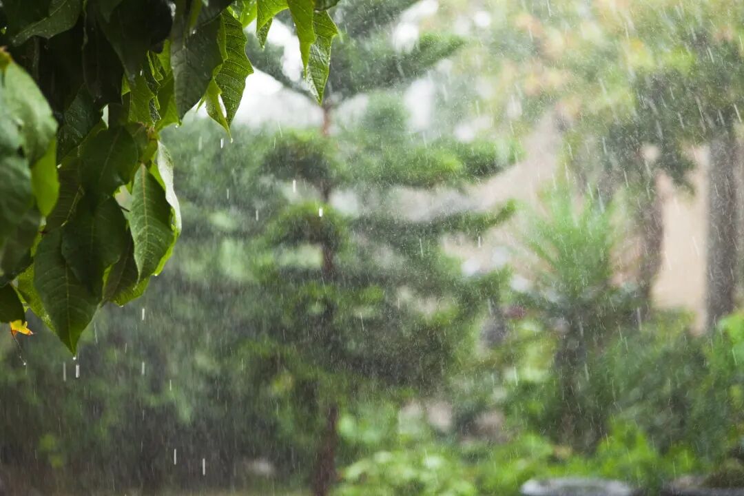 新台风生成！暴雨、大暴雨！江苏天气即将大反转