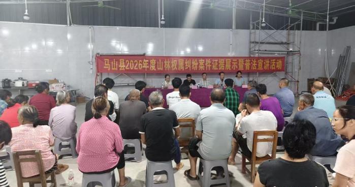 广西马山人大履职攻坚山林权属积案 赋能基层社会治理 广西马山人大履职攻坚山林权属积案 赋能基层社会治理