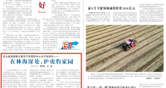 在林海深处,护虎豹家园(美丽中国行·探访东北虎豹国家公园) 在林海深处,护虎豹家园(美丽中国行·探访东北虎豹国家公园)