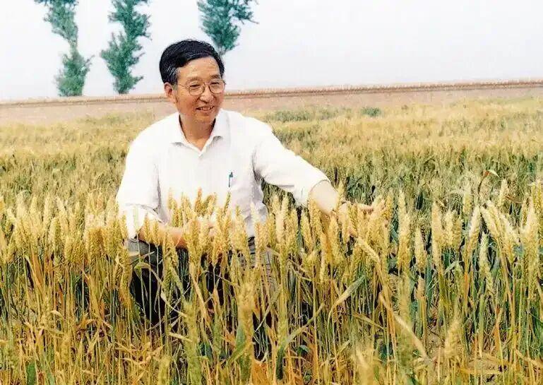 山东农人守护大国粮仓
