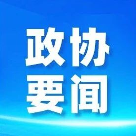 全国政协中非友好小组同乍得爱国拯救运动代表团座谈交流