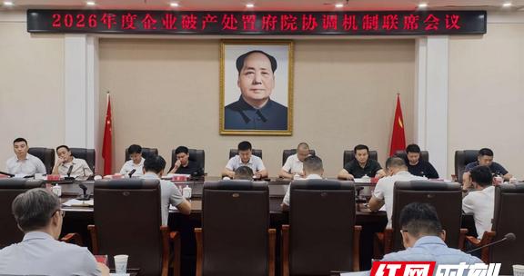 蒸湘区召开企业破产处置府院协调机制联席会议