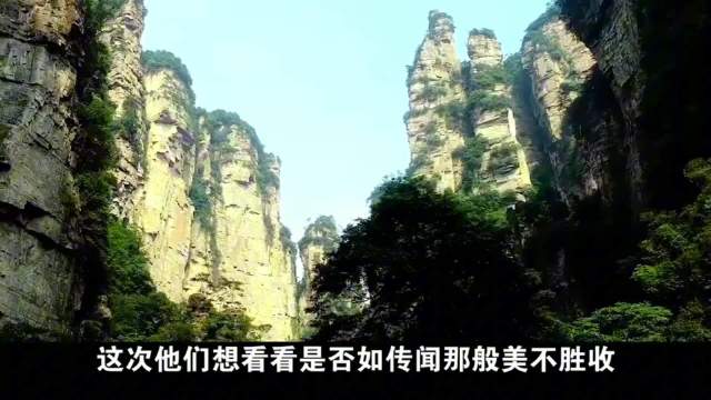 韩国游客乘缆车惊叹张家界奇峰，导游揭晓阿凡达取景地
