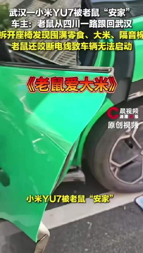 老鼠在小米YU7安家咬断线束致车辆无法启动