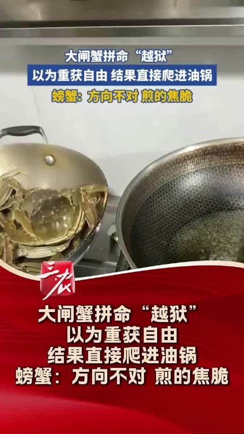 大闸蟹拼命越狱爬进油锅，螃蟹称方向不对煎得焦脆