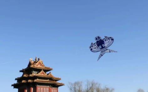 新阅读|一鸢寄深秋 新阅读|一鸢寄深秋