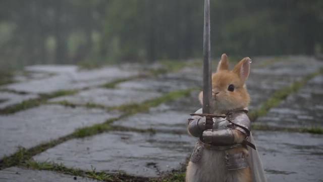 lpe我和小战士李全霖 风吹日晒也无妨