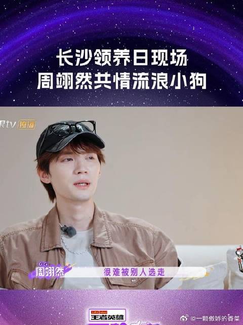 周翊然对流浪动物的共情力