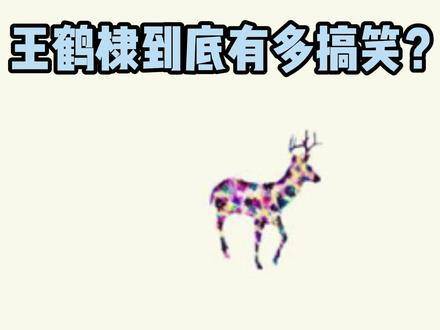 王鹤棣究竟有多逗？亲口爆料小学六年级仍尿床，一杆进洞瞬间热血上头！