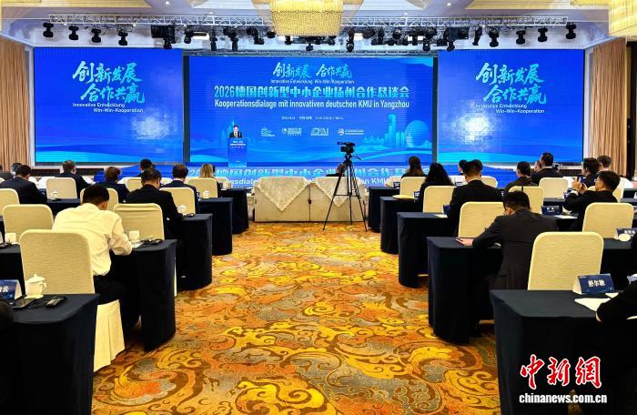 深耕细分赛道 扬州与德国创新型中小企业共谋发展 深耕细分赛道 扬州与德国创新型中小企业共谋发展