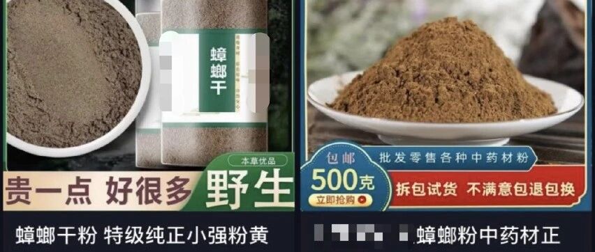 蛋白粉大涨价，网友盯上“蟑螂粉”！商家称其蛋白质含量70%，每斤不到20元，医生紧急提醒