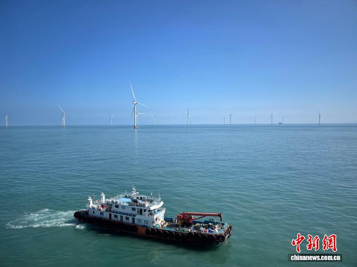 (活力中国调研行)数读海南自贸港:动能向新、结构向优、根基向实 (活力中国调研行)数读海南自贸港:动能向新、结构向优、根基向实