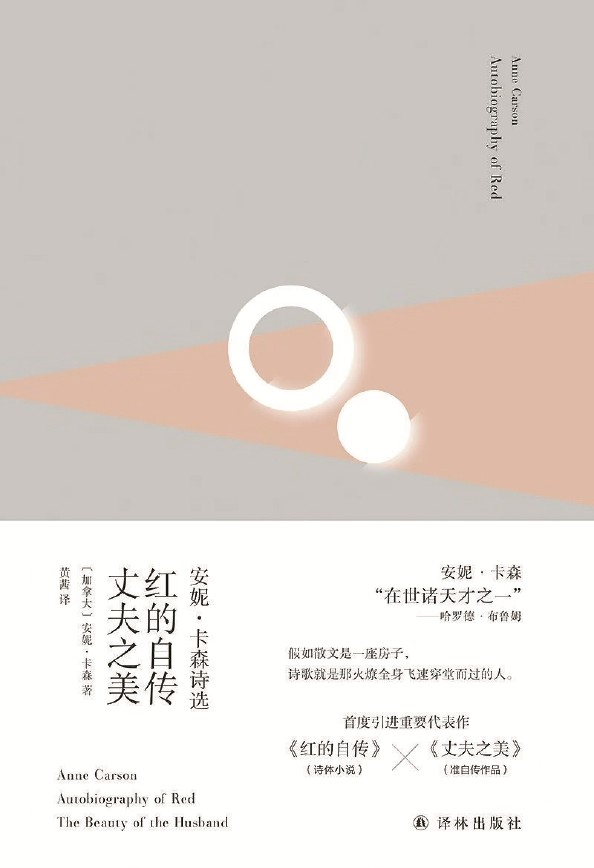 安妮·卡森的大抱负 安妮·卡森的大抱负