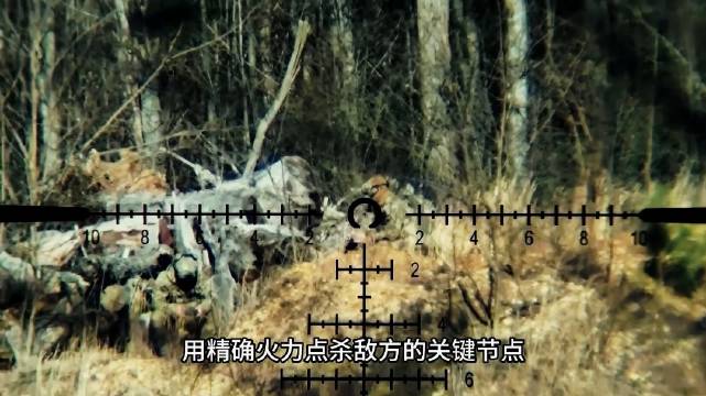 狙击手和精确射手到底有什么区别？