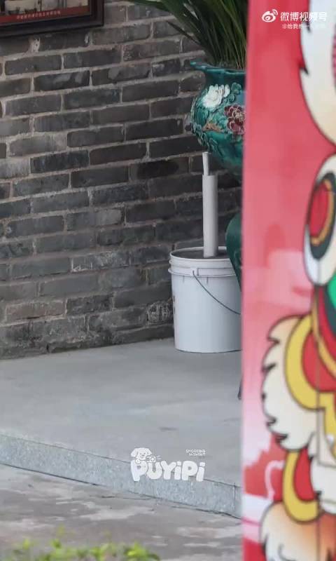 可爱值拉满！张真源见到虫子立马闪身，密逃留下的条件反射太真实