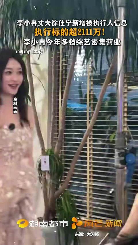 李小冉丈夫徐佳宁新增被执行人记录执行标的2111万余元