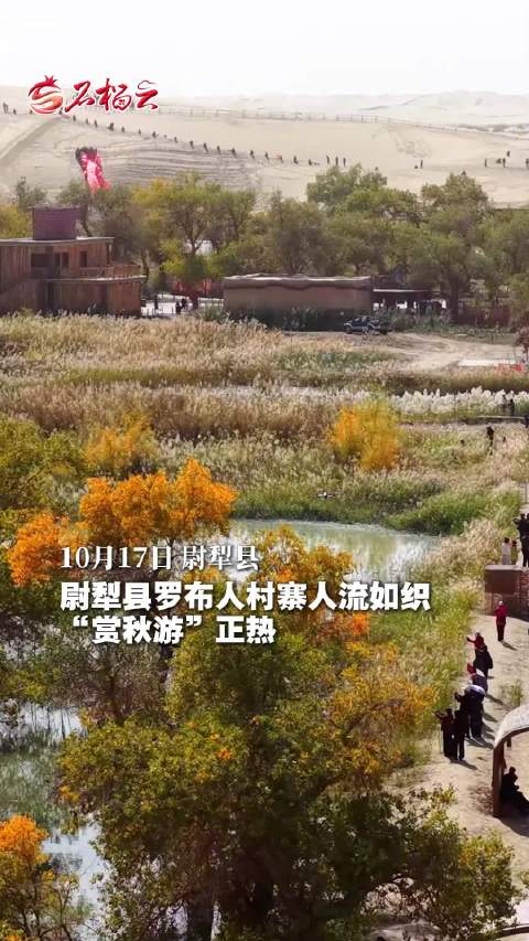 尉犁县罗布人村寨人流如织 “赏秋游”正热
