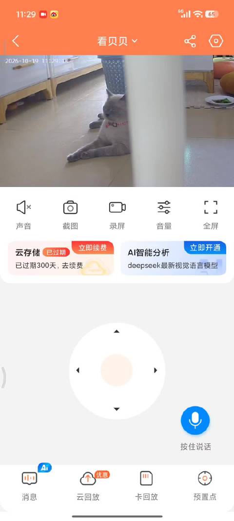 叫半天不见小灰灰以为越狱 坚持呼唤终现身躺下看摄像头