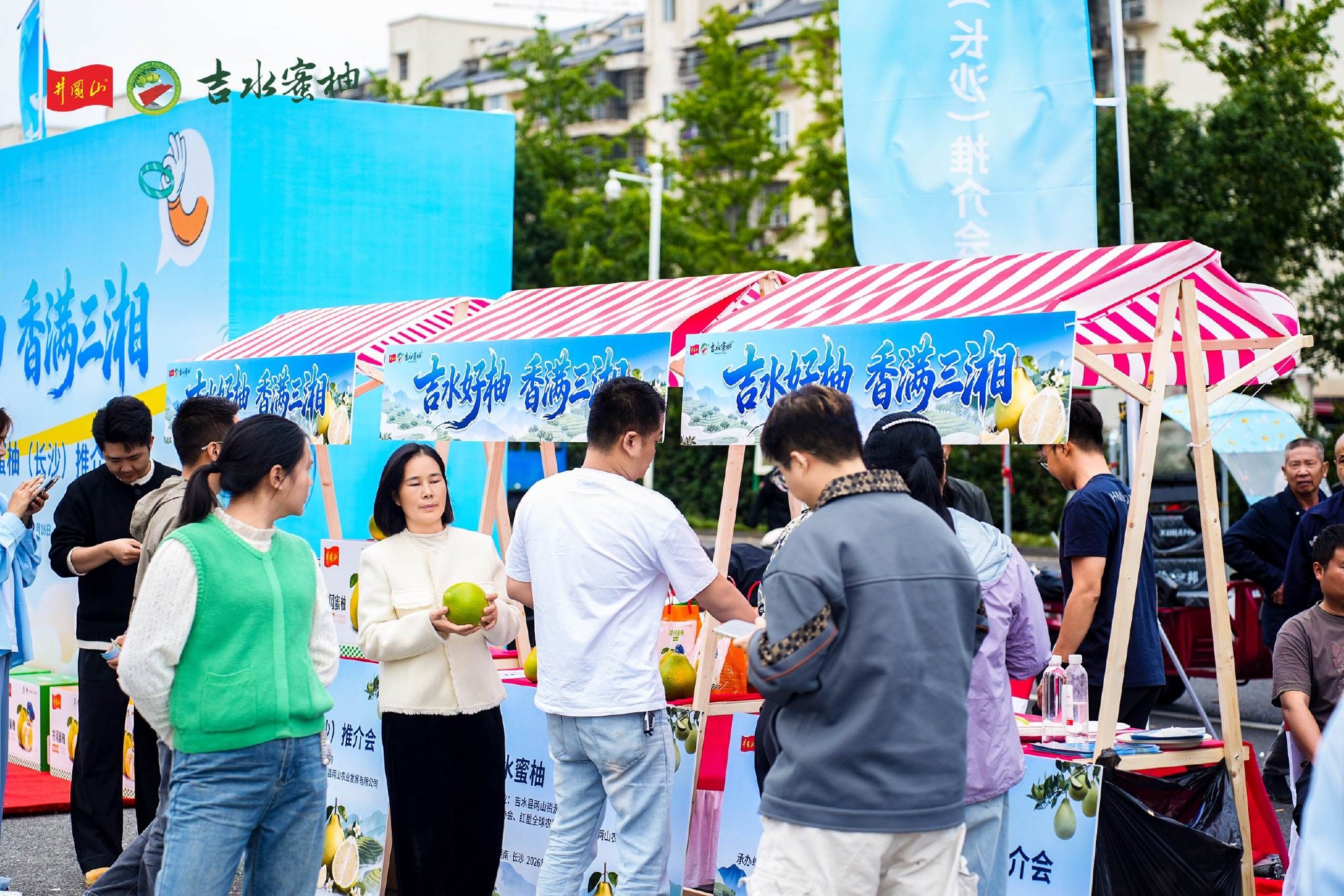 2026吉水蜜柚(长沙)推介会顺利举办,吸引市民热情尝鲜,小伙品尝后想立马下单 2026吉水蜜柚(长沙)推介会顺利举办,吸引市民热情尝鲜,小伙品尝后想立马下单